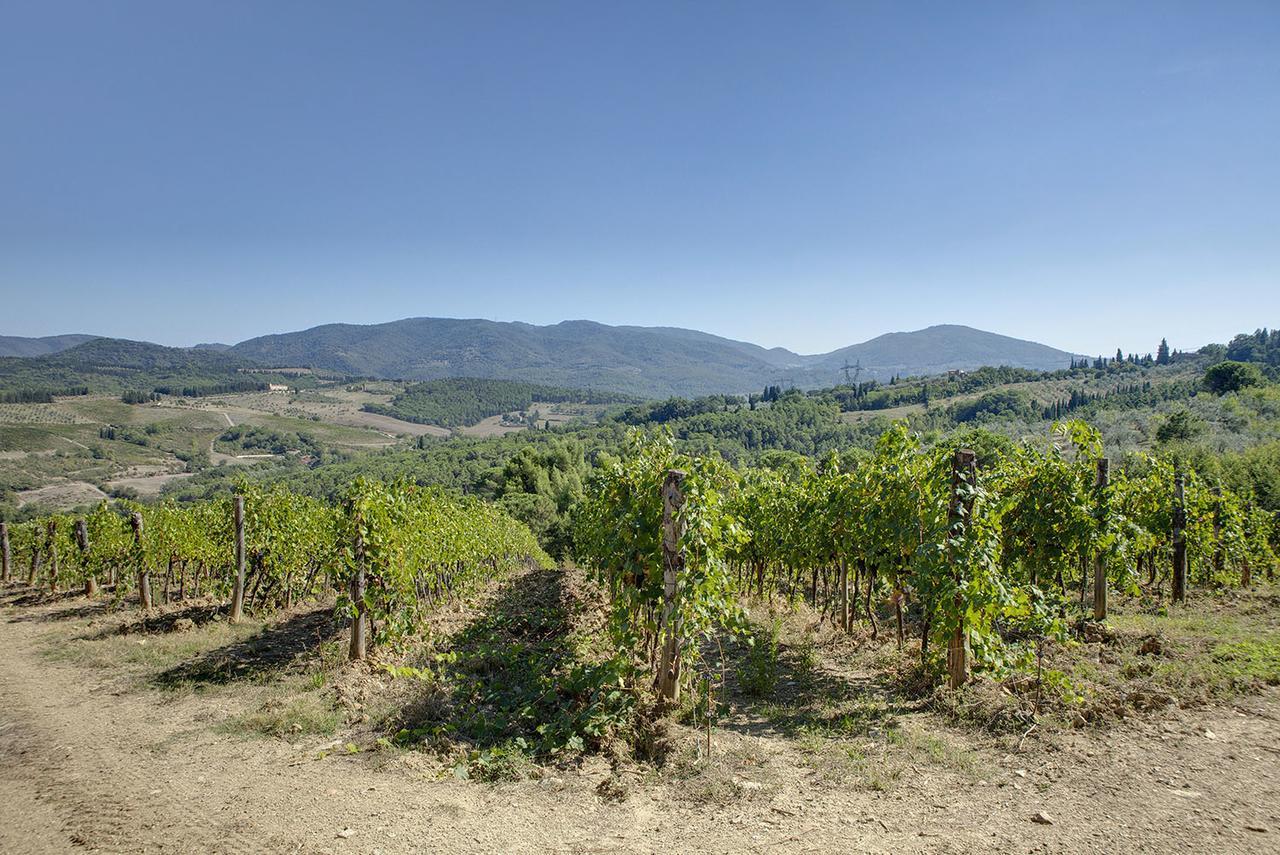 Agriturismo La Presura Strada in Chianti Bagian luar foto